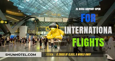 Is Doha Airport Open for International Flights? Latest Updates