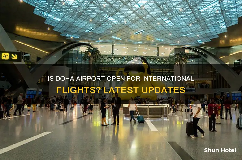 is doha airport open for international flights