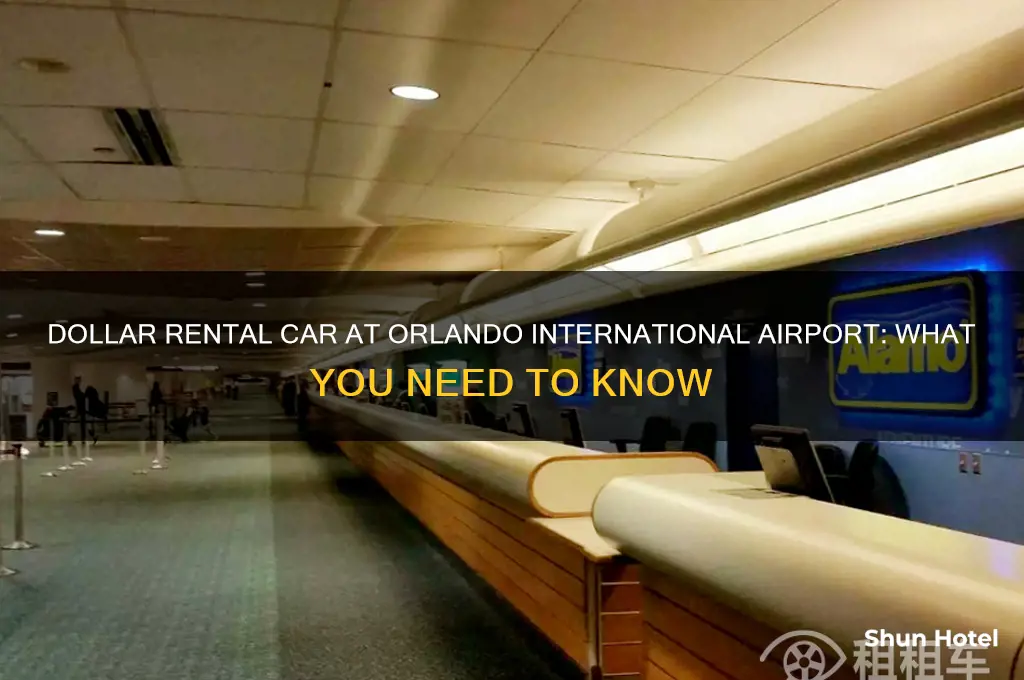 is dollar rental car at the orlando international airport