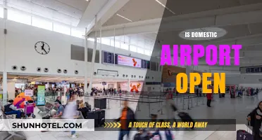 Is Your Local Domestic Airport Open? Check Current Status Here