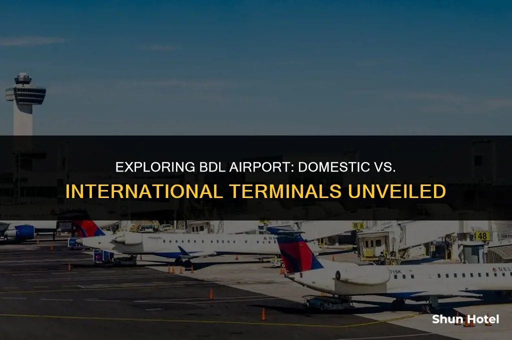 is domestic and internationa terminal different on bdl airport hartfort
