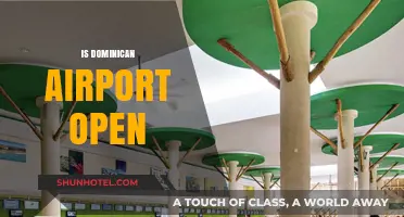 Is Dominican Airport Open? Current Status and Travel Updates