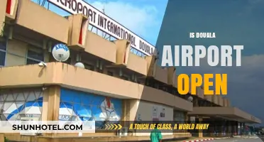 Is Douala Airport Open? Current Status and Travel Updates
