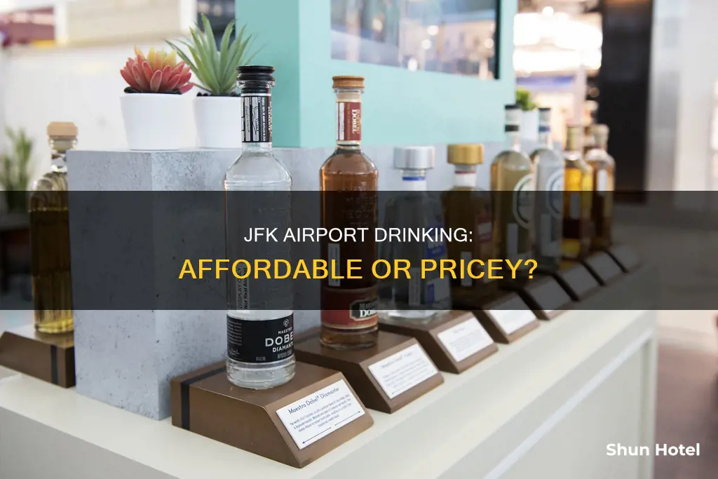 is drinking expensive at jfk airport