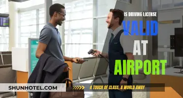 Airport Security: Driving License as a Valid ID?