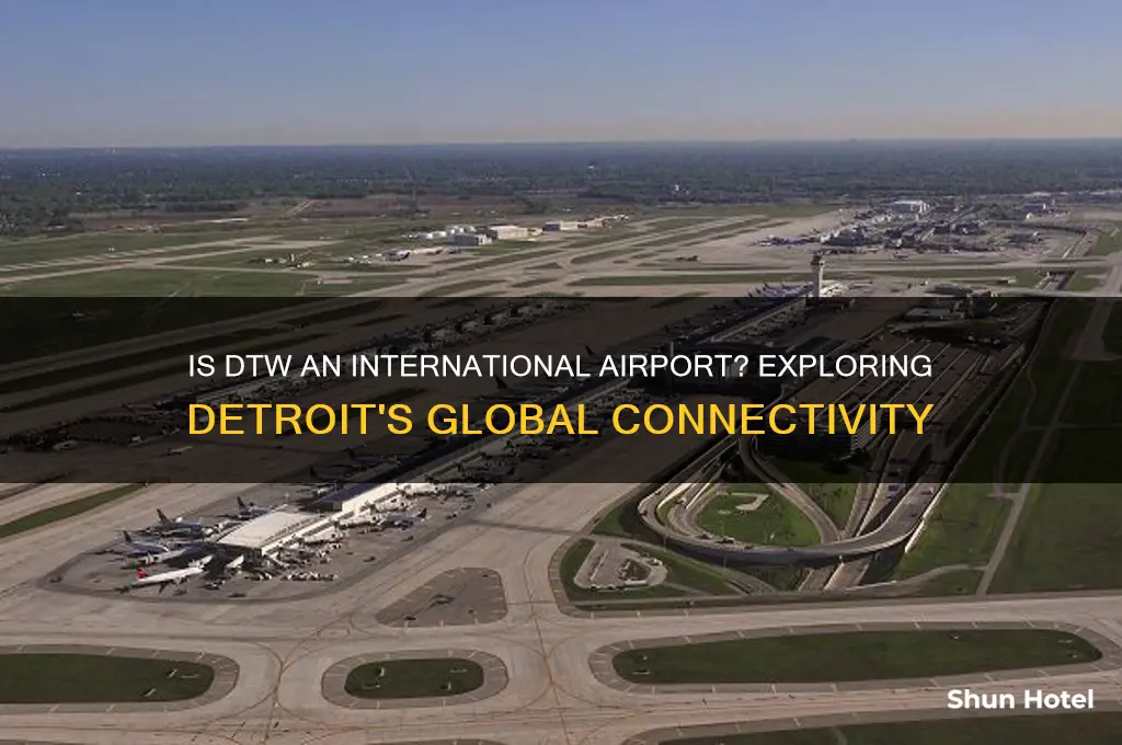 is dtw an international airport