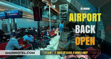 Dubai Airport Reopens: What Travelers Need to Know Now