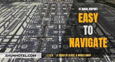 Dubai Airport: Easy to Navigate?