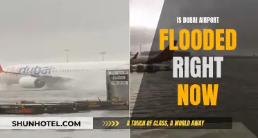 Dubai Airport: Flooded or Not?