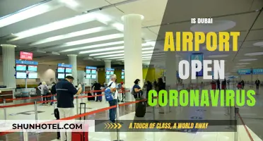 Dubai Airport Operational Status Amid Coronavirus Pandemic: What Travelers Need to Know