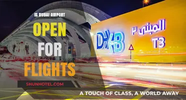 Is Dubai Airport Open for Flights? Latest Updates and Travel Info