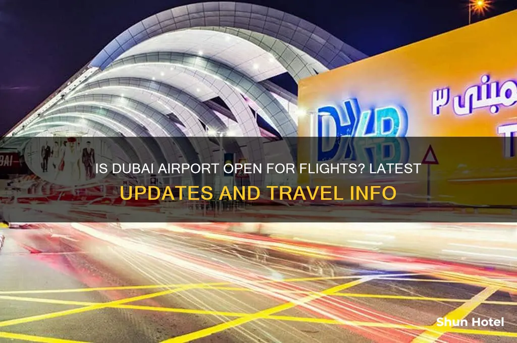 is dubai airport open for flights