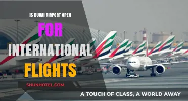 Dubai Airport International Flights: Current Status and Travel Updates