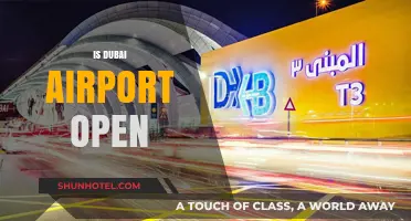 Is Dubai Airport Open? Latest Updates and Travel Guidelines