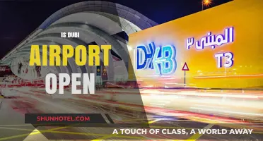 Is Dubai Airport Open? Latest Updates and Travel Guidelines