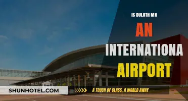 Duluth MN Airport: International Status and Travel Insights