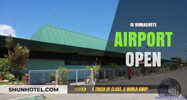 Is Dumaguete Airport Open? Latest Updates and Travel Information