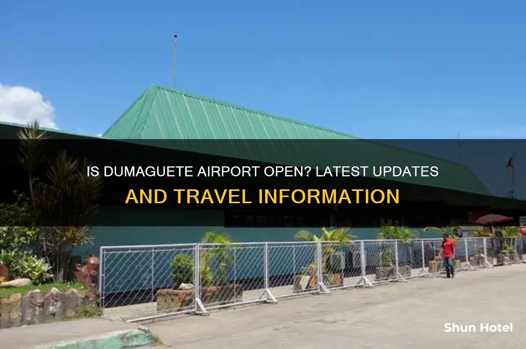 is dumaguete airport open