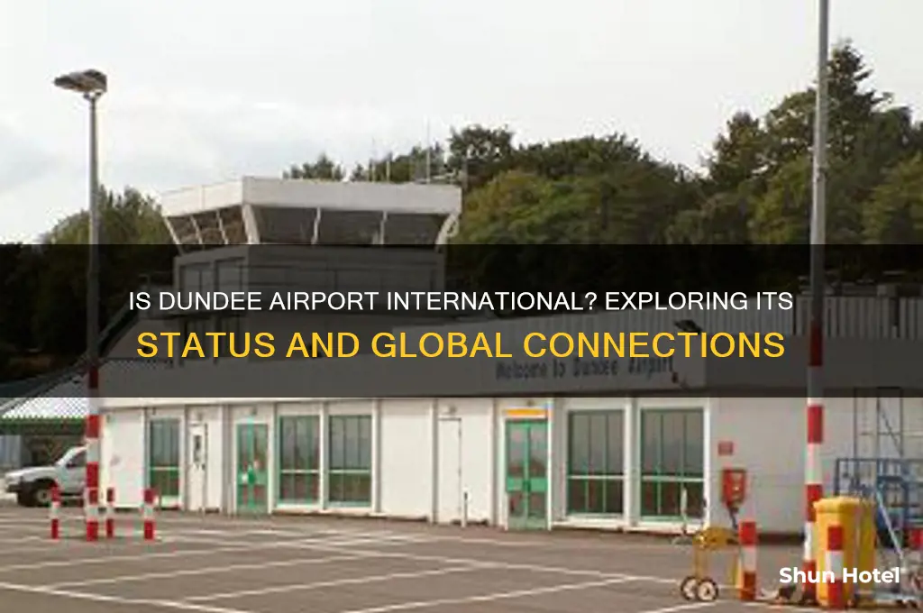 is dundee airport international