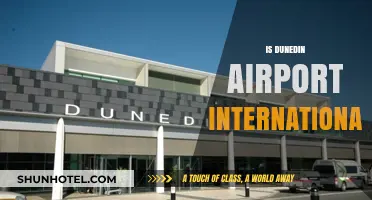 Is Dunedin Airport International? Exploring Its Global Connectivity and Status