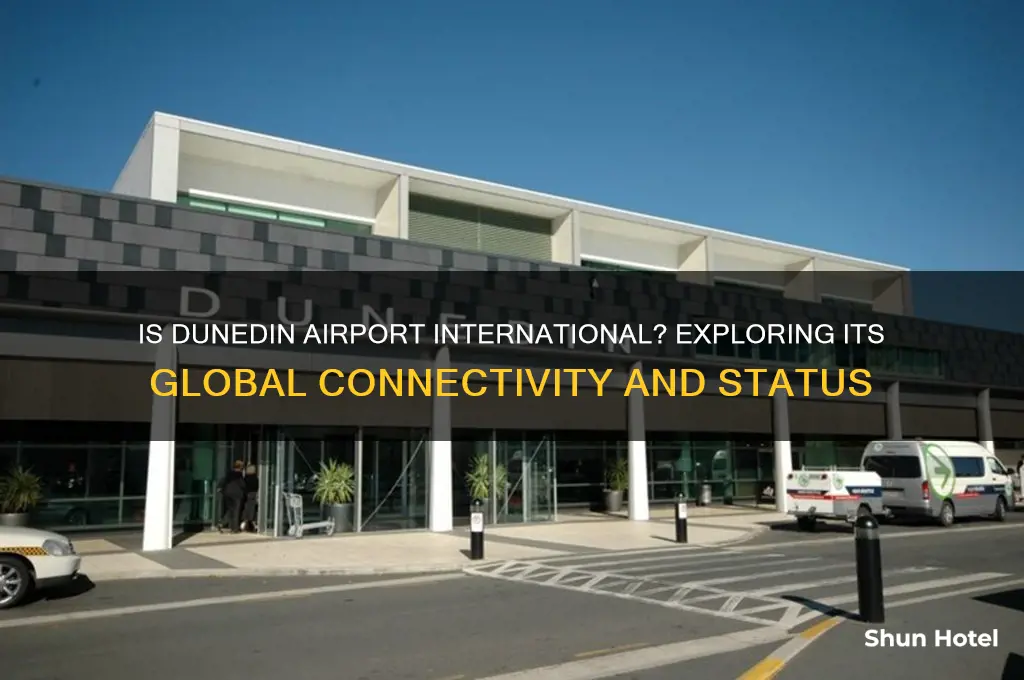 is dunedin airport international