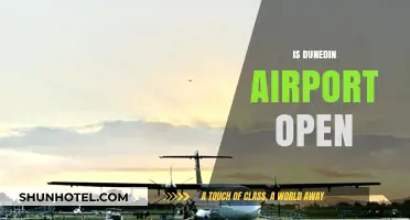 Is Dunedin Airport Open? Current Status and Travel Updates