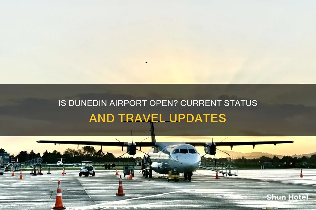 is dunedin airport open