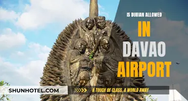 Durian Conundrum: Davao Airport's Stance on the Fruit