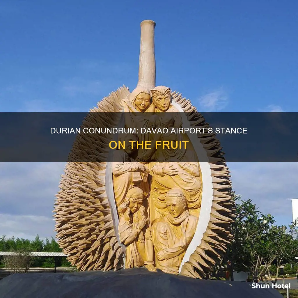 is durian allowed in davao airport