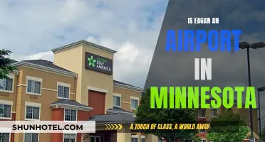 Eagan, Minnesota: Airport or Not?
