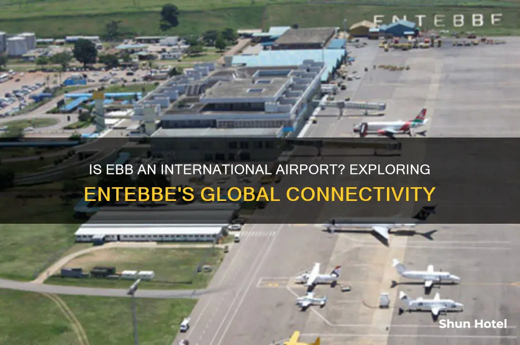 is ebb an international airport
