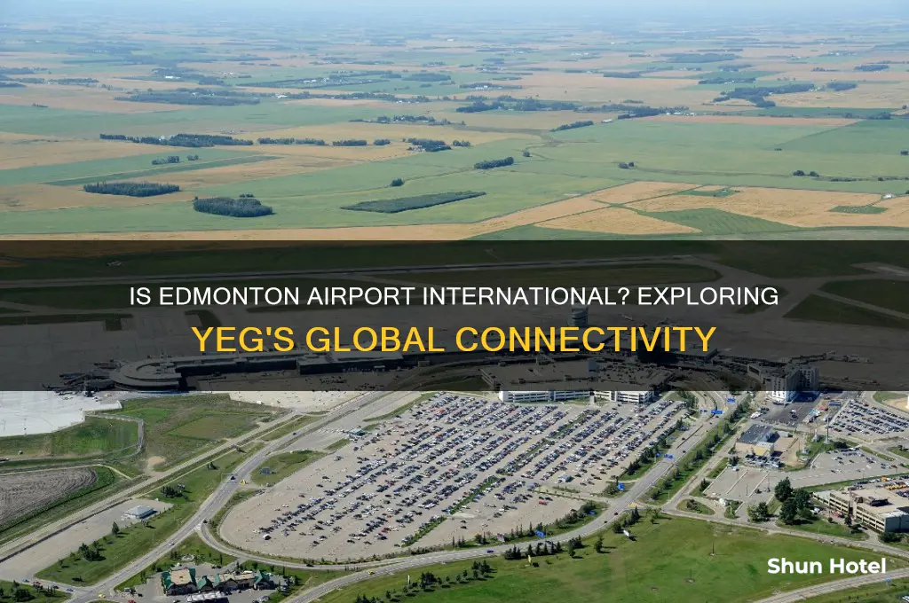 is edmonton airport international