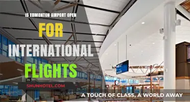 Edmonton Airport's International Flight Status: What Travelers Need to Know