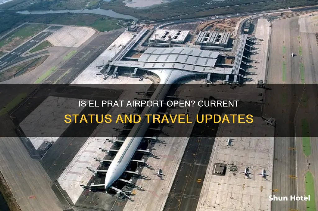 is el prat airport open