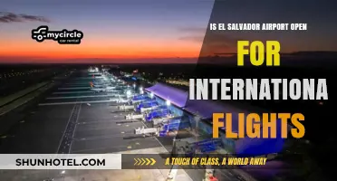 El Salvador Airport: International Flights Status and Travel Updates