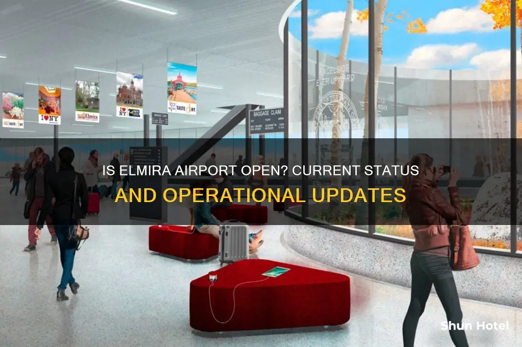 is elmira airport open