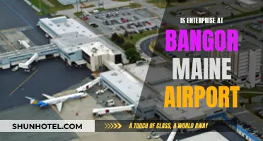 Bangor Maine Airport: Enterprise Opportunities and Challenges