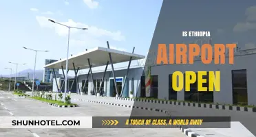 Is Ethiopia Airport Open? Current Status and Travel Updates