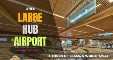 The Future of EUG: A Large Hub Airport?