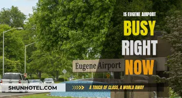 Eugene Airport: Current State of Busyness and Activity