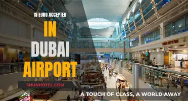 Using Euros in Dubai Airport: What You Need to Know