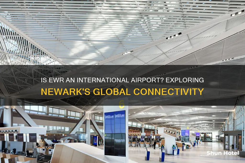 is ewr an international airport