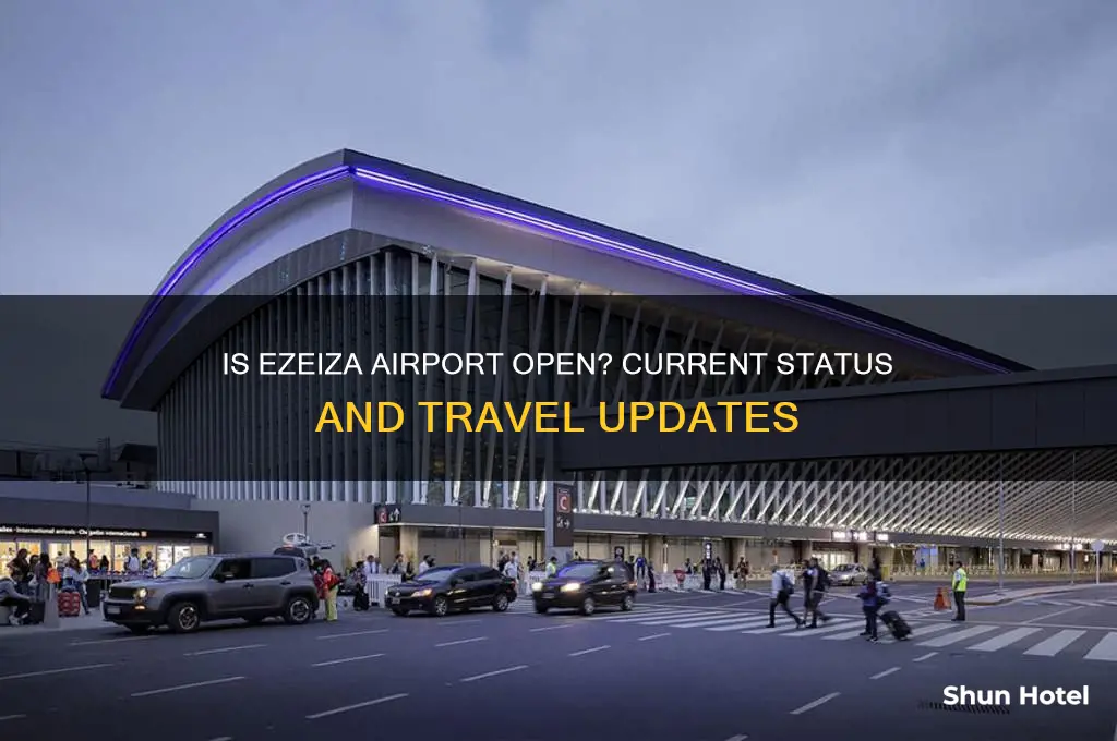 is ezeiza airport open