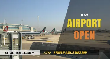 Is FCO Airport Open? Current Status and Travel Updates