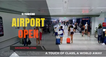 Is Fiumicino Airport Open? Current Status and Travel Updates