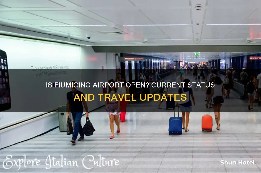 is fiumicino airport open