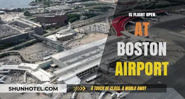 Boston Airport Flight Operations: Current Status and Travel Updates