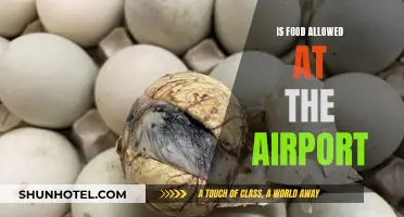 Airport Food Rules: What You Can Eat and Carry
