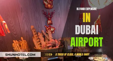 Dubai Airport Food: Affordable or Overpriced?
