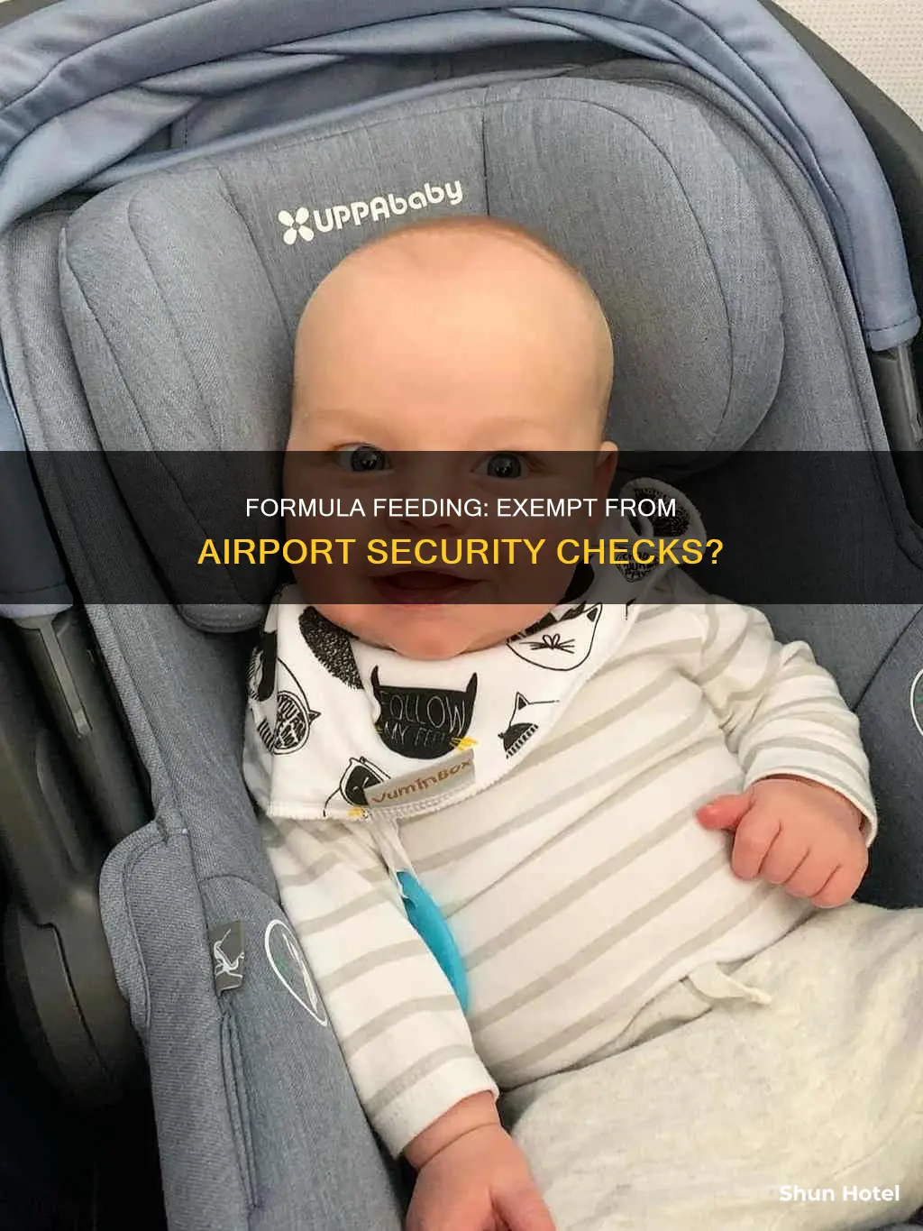 is formula exempt from airport security
